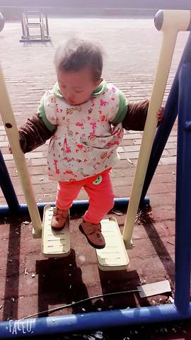journal_insert_pic_672183527
