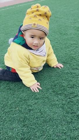 journal_insert_pic_672785310