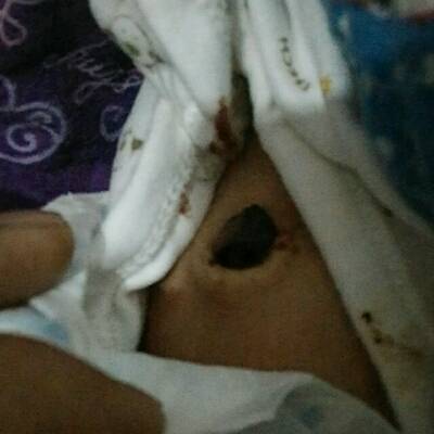 journal_insert_pic_675650771