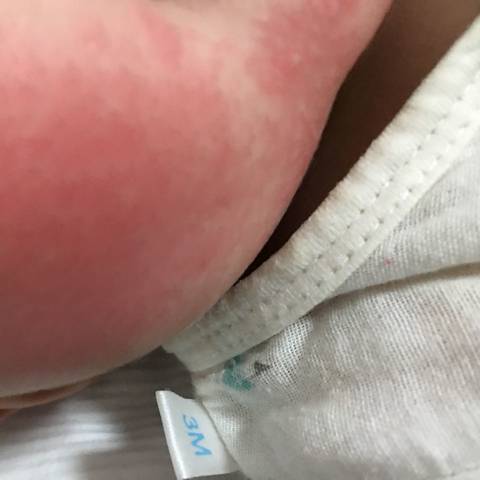 journal_insert_pic_675993507