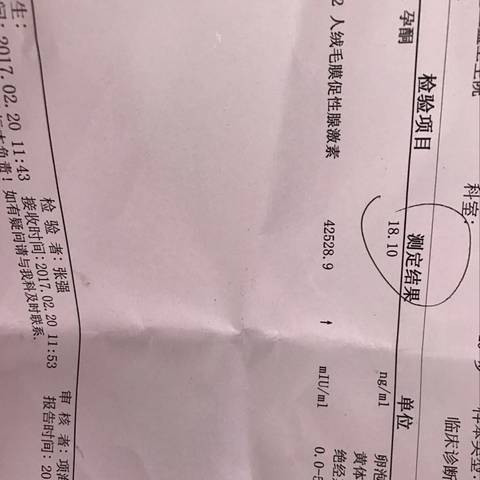 journal_insert_pic_676729340