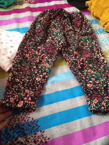 journal_insert_pic_676514067
