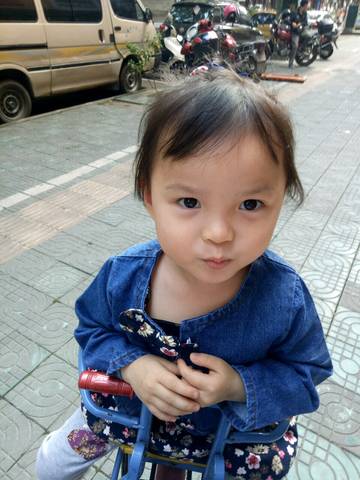 journal_insert_pic_676907084