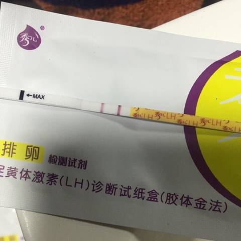 journal_insert_pic_678139045