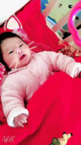 journal_insert_pic_679609334