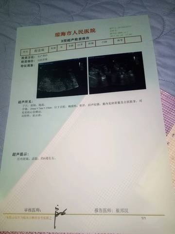 journal_insert_pic_679527289