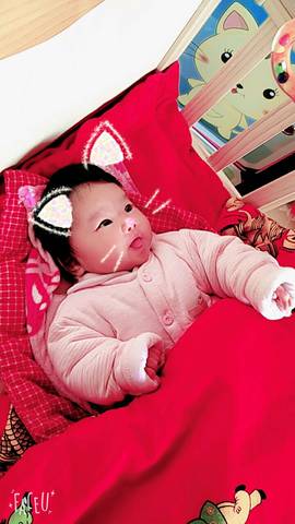 journal_insert_pic_679609266