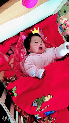 journal_insert_pic_679609155