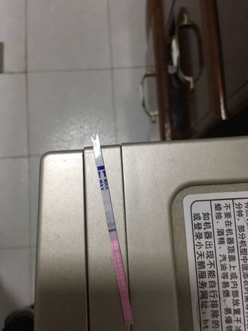 journal_insert_pic_679593713