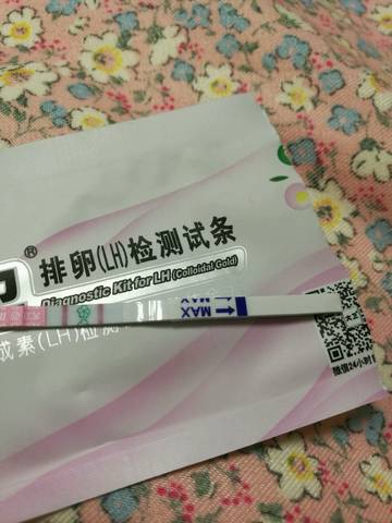 journal_insert_pic_679342073