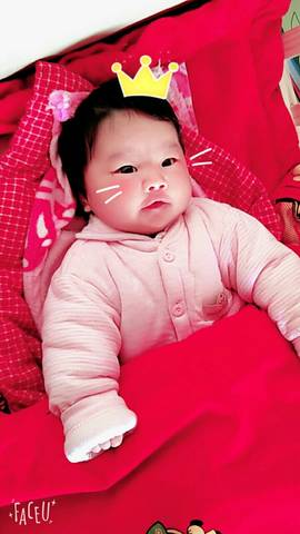 journal_insert_pic_679609226