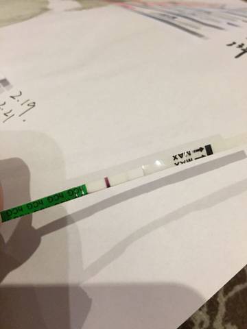 journal_insert_pic_679852885