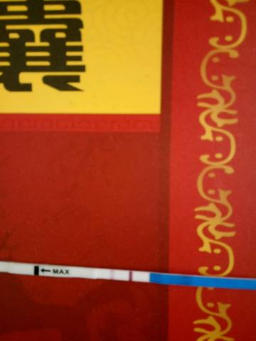 journal_insert_pic_680352657