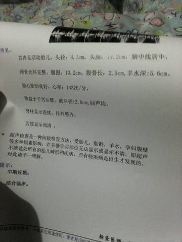journal_insert_pic_680365635