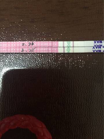 journal_insert_pic_681233844