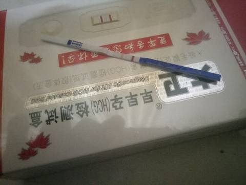 journal_insert_pic_682081855