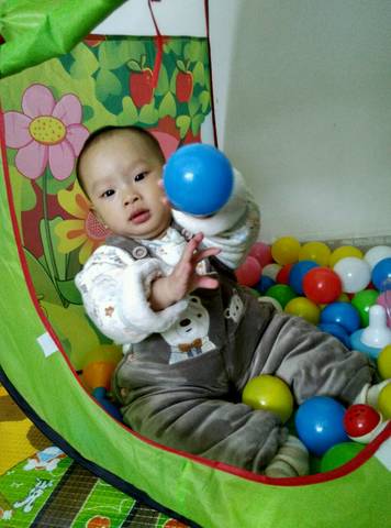 journal_insert_pic_681746615