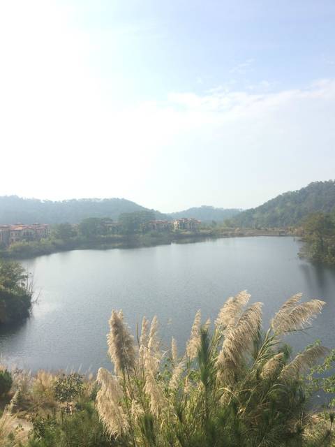河源九里湖图片