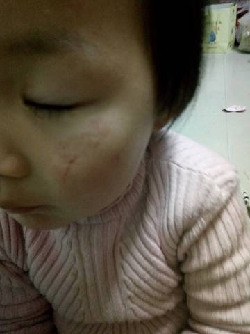 journal_insert_pic_682009421