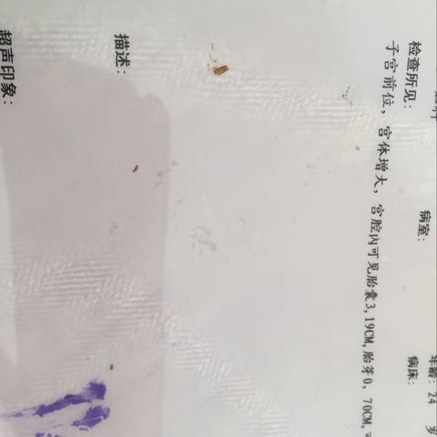 journal_insert_pic_681584610