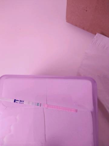 journal_insert_pic_682583323