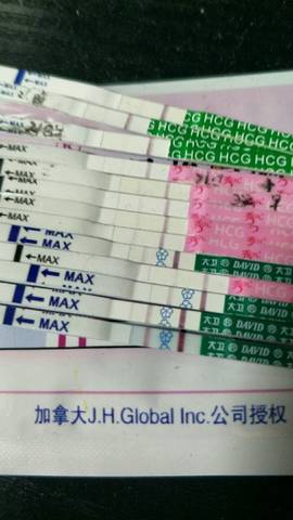 journal_insert_pic_682848176