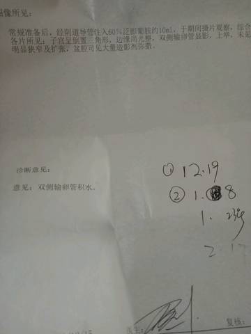 journal_insert_pic_682378615