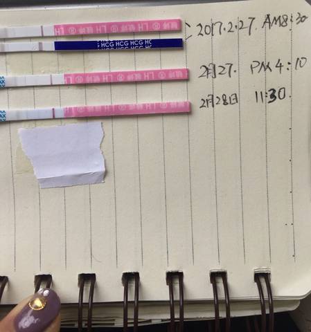 journal_insert_pic_682477588