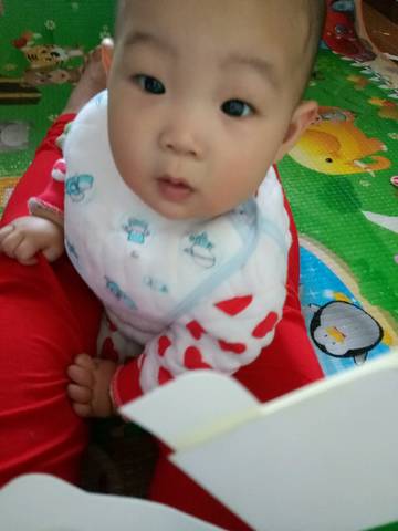 journal_insert_pic_682423222