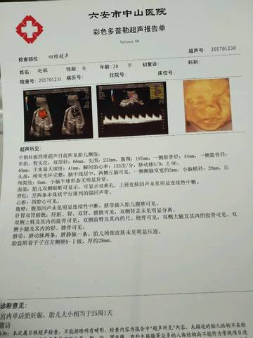 journal_insert_pic_682226352