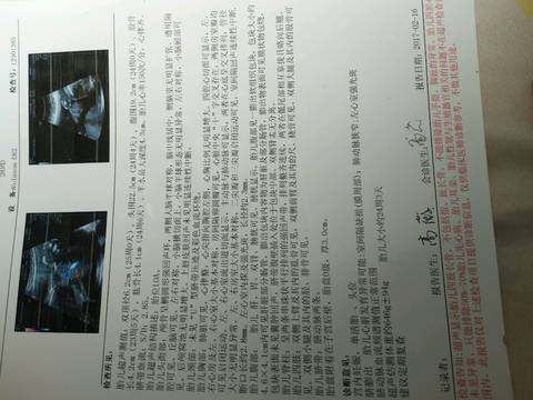 journal_insert_pic_682517201