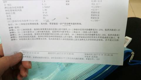 journal_insert_pic_683542136
