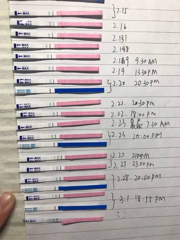 journal_insert_pic_684448569