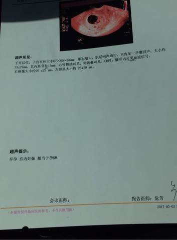 journal_insert_pic_684211843