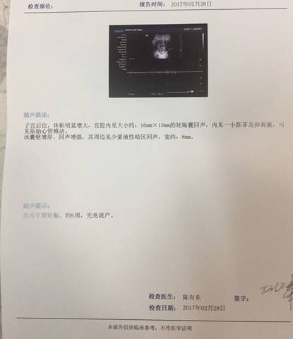 journal_insert_pic_685084891