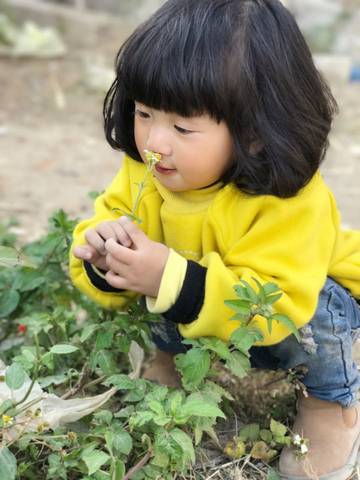 journal_insert_pic_685705733
