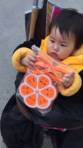 journal_insert_pic_685534735