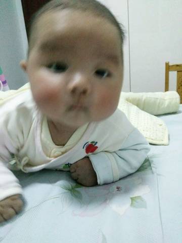journal_insert_pic_687002235