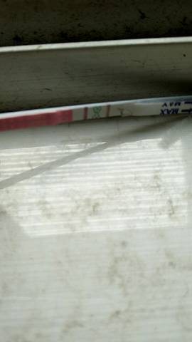 journal_insert_pic_686716461