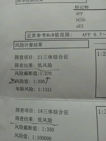 journal_insert_pic_687404412