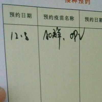 journal_insert_pic_687689718