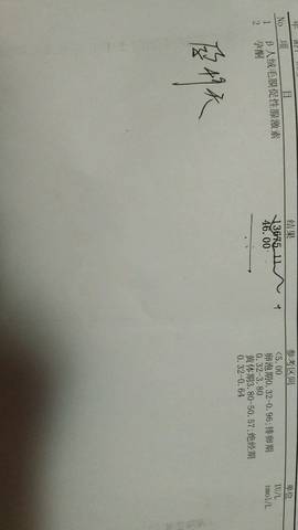journal_insert_pic_688399945