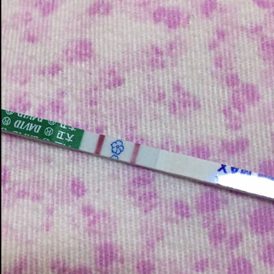 journal_insert_pic_690440318