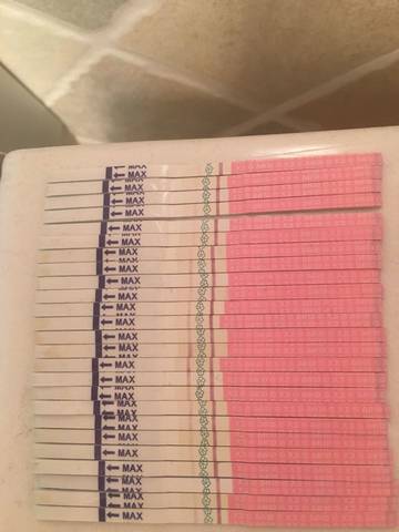 journal_insert_pic_690092357