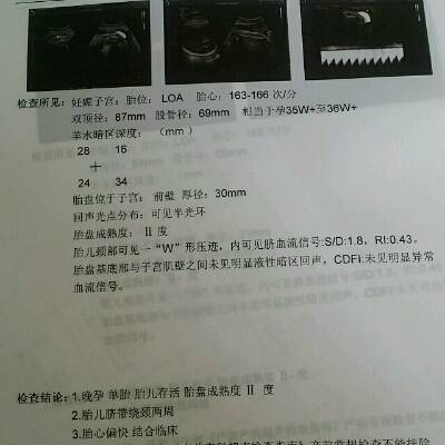 journal_insert_pic_690408530