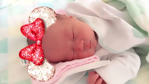 journal_insert_pic_690896175