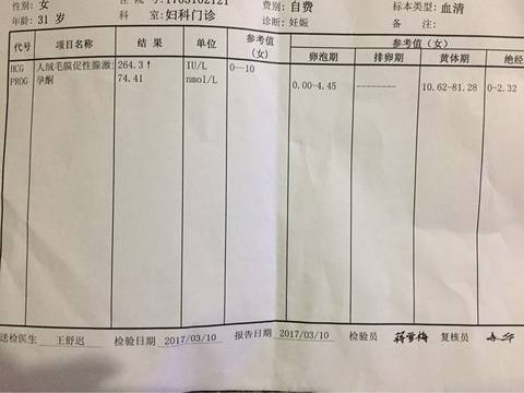 journal_insert_pic_691962350