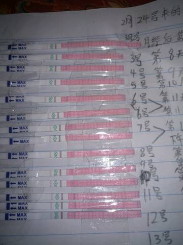 journal_insert_pic_691826219