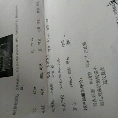 journal_insert_pic_692064940