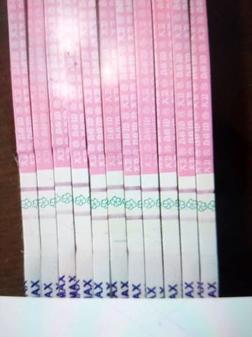 journal_insert_pic_692899937